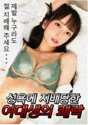 芭比之神秘之门 奇幻动画电影国语版海报
